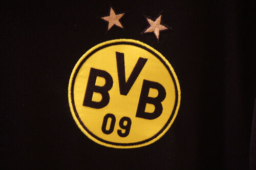 Unternehmensprofil Borussia Dortmund GmbH & Co KGaA