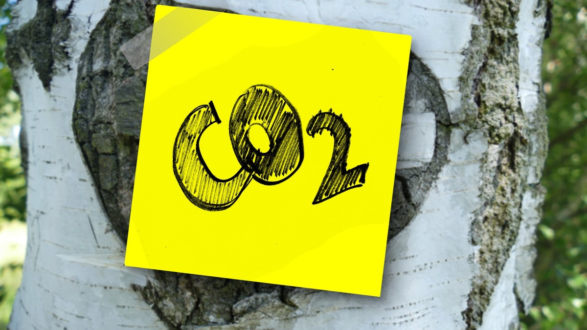 Der CO2-Austoß gefährdet die Umwelt. (Symbolbild)