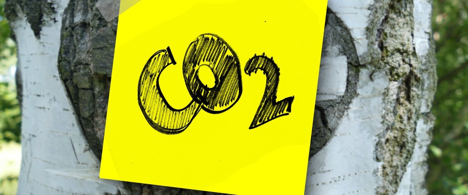 Der CO2-Austoß gefährdet die Umwelt. (Symbolbild)