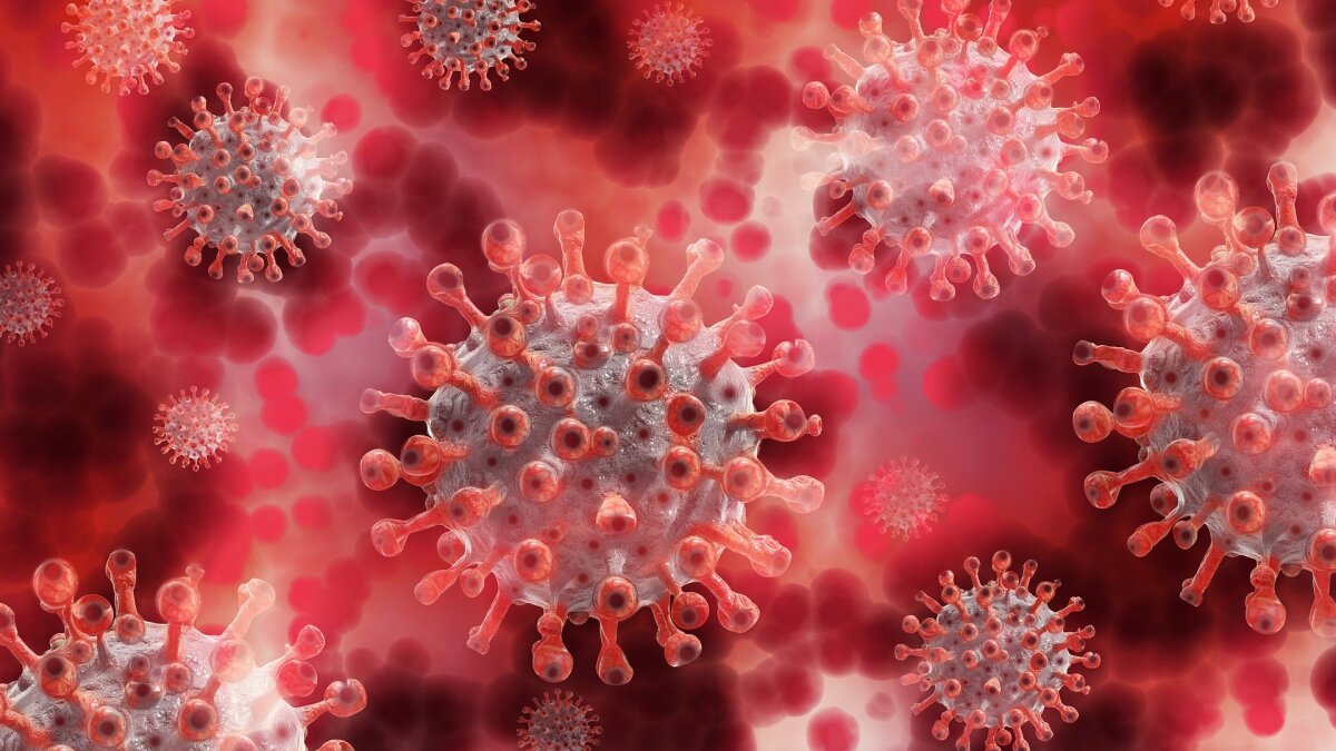 Coronavirus im Blutplasma.