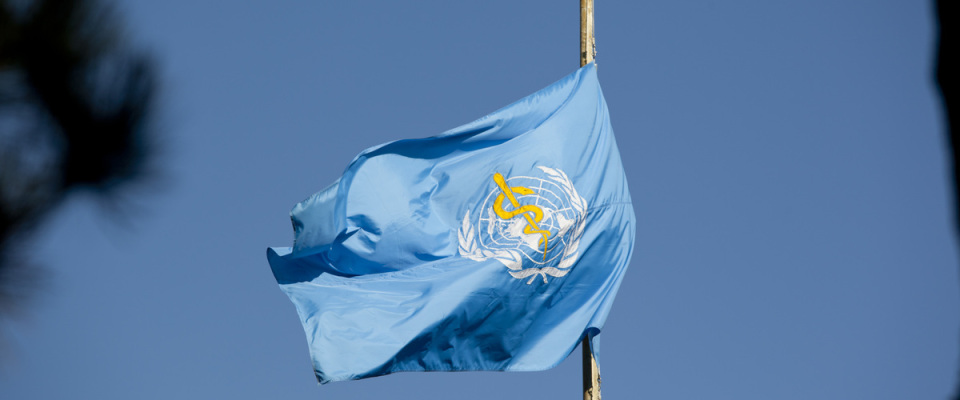Flagge der World Health Organisation (WHO)