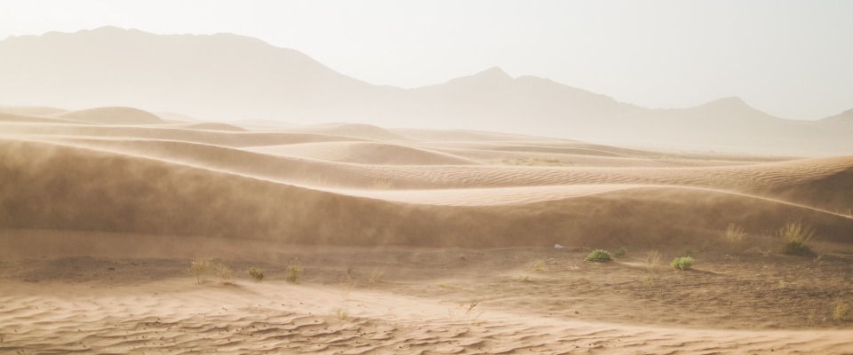 Sanddünen in der Wüste (Symbolbild).