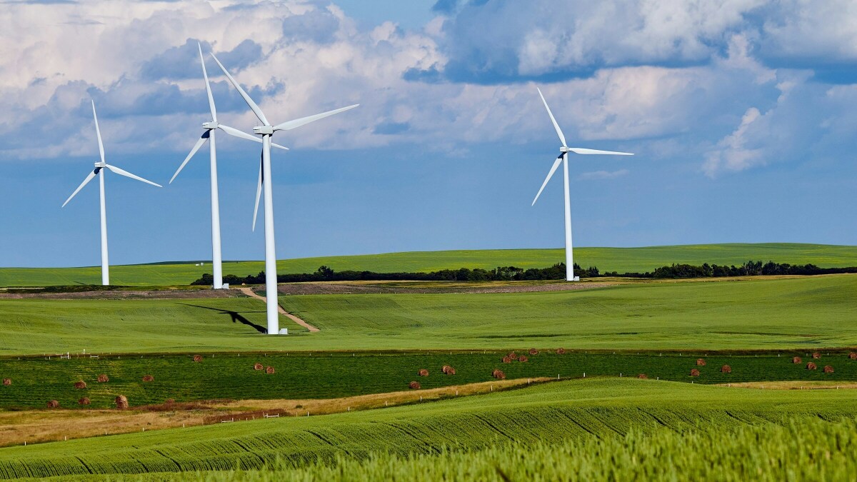 Ein Windpark in Norddeutschland. (Symbolbild)