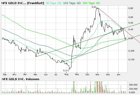 NFX Gold Inc. 143408