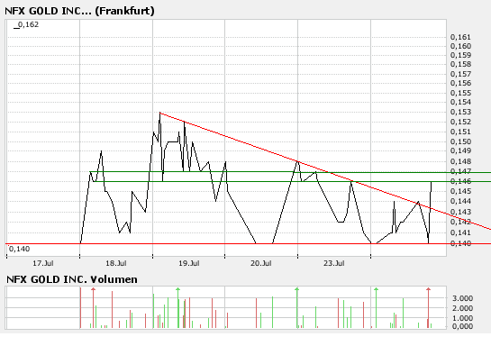 NFX Gold Inc. 110713