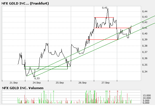 NFX Gold Inc. 122606