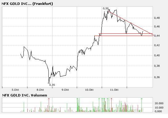 NFX Gold Inc. 125143