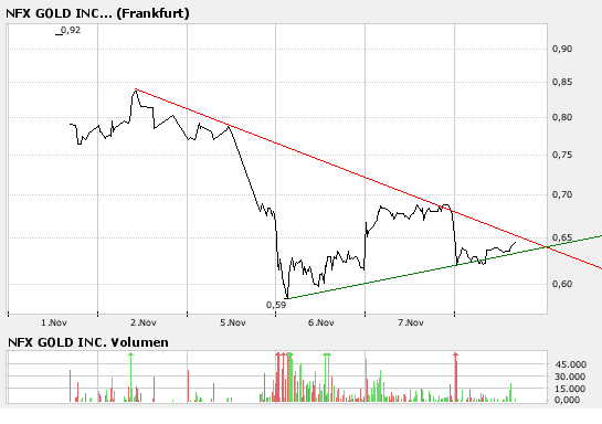 NFX Gold Inc. 130207