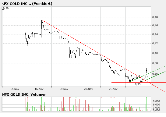 NFX Gold Inc. 132479