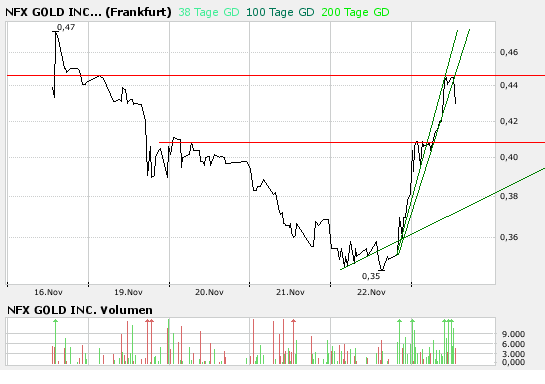 NFX Gold Inc. 132656