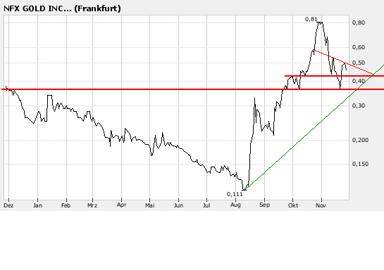 NFX Gold Inc. 133317
