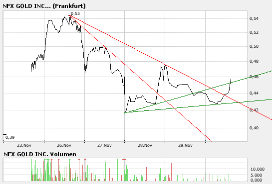 NFX Gold Inc. 133986