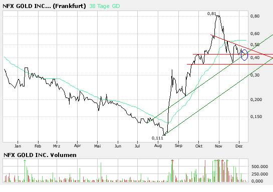 NFX Gold Inc. 135937