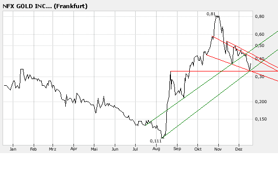 NFX Gold Inc. 137365