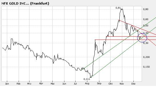NFX Gold Inc. 137557