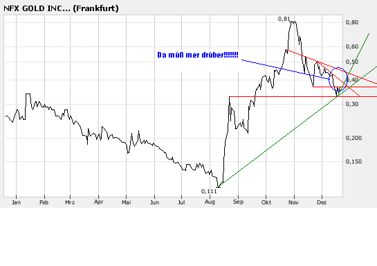 NFX Gold Inc. 137644