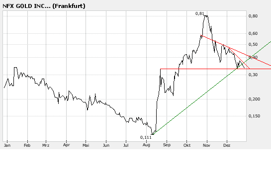 NFX Gold Inc. 138494