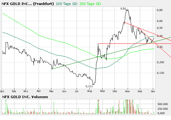 NFX Gold Inc. 139535
