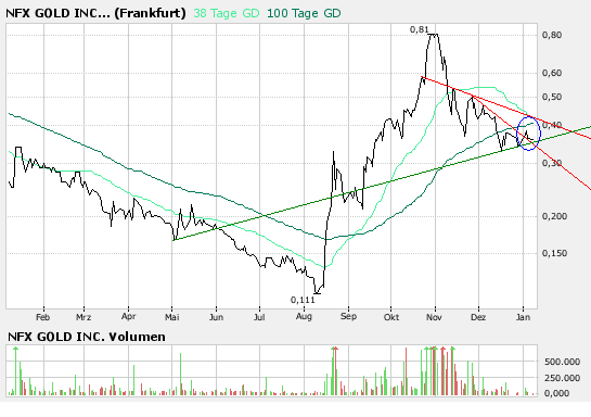 NFX Gold Inc. 140103