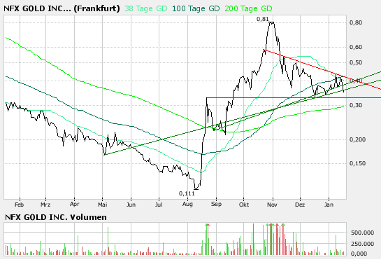 NFX Gold Inc. 142071