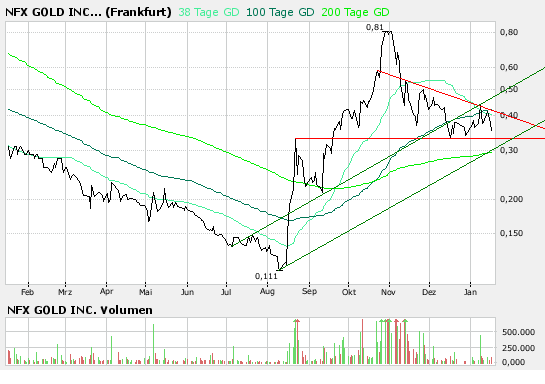 NFX Gold Inc. 142171