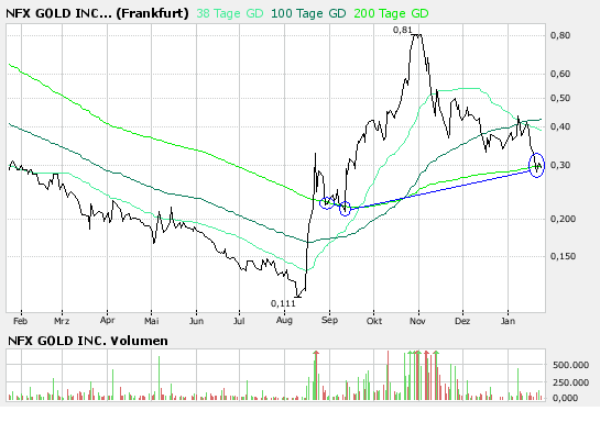 NFX Gold Inc. 143468