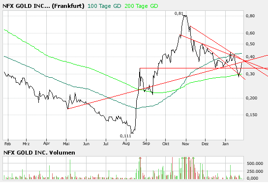 NFX Gold Inc. 144045