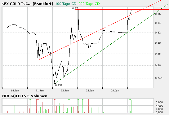 NFX Gold Inc. 144049
