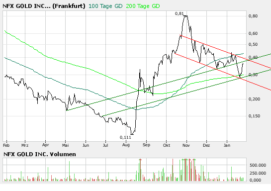 NFX Gold Inc. 144454