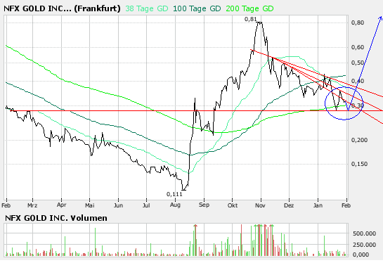 NFX Gold Inc. 145237