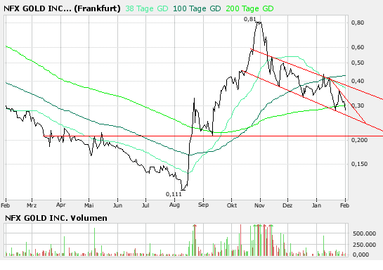 NFX Vorsicht! 145332
