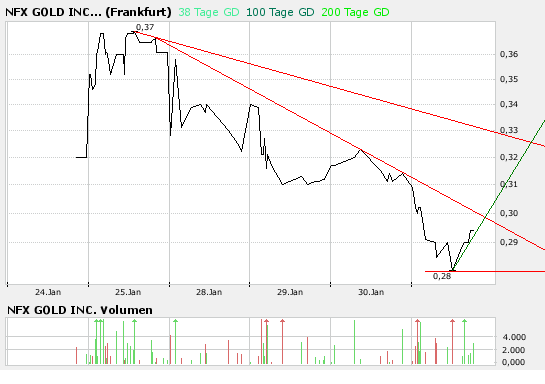 NFX Gold Inc. 145398