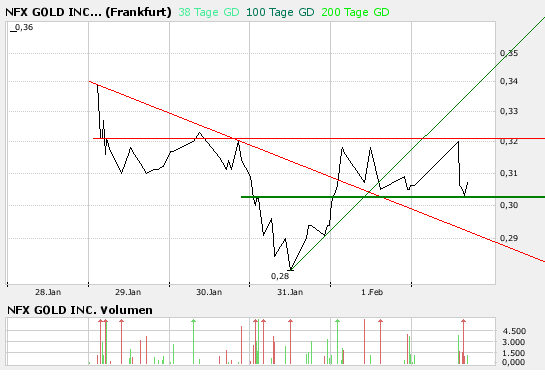 NFX Gold Inc. 146183