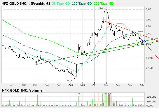 NFX Gold Inc. 146199