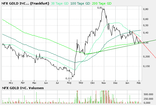 NFX Gold Inc. 146300