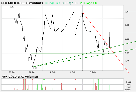 NFX Gold Inc. 146508