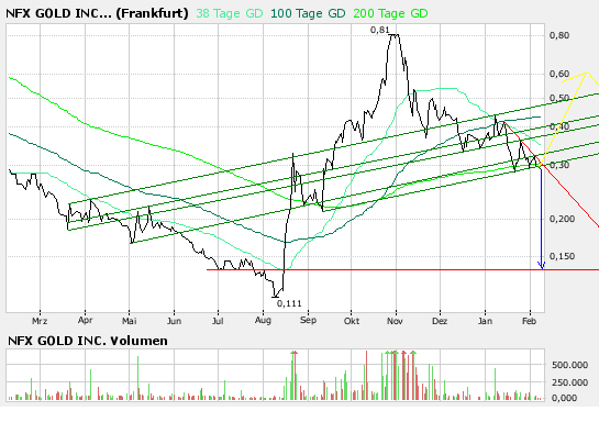 NFX Gold Inc. 146732