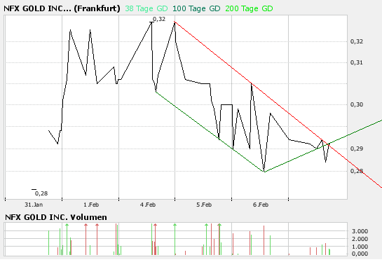 NFX Gold Inc. 146838
