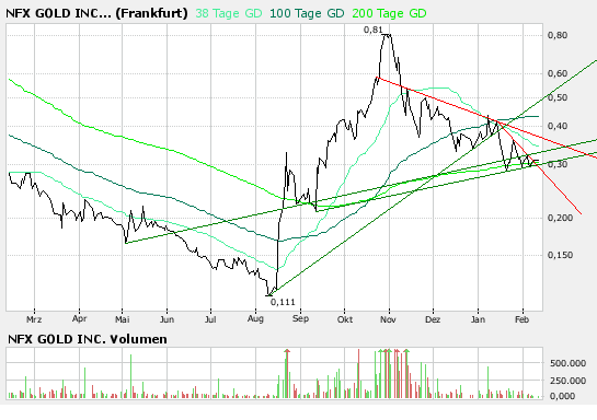 NFX Gold Inc. 147463
