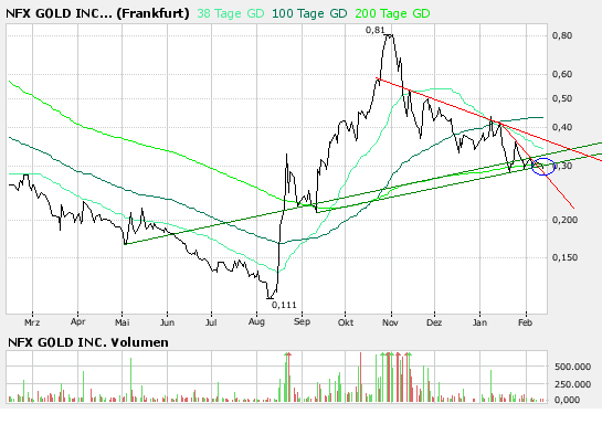 NFX Gold Inc. 147849