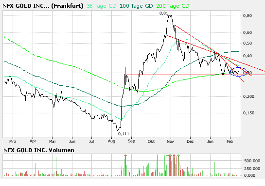 NFX Gold Inc. 148332