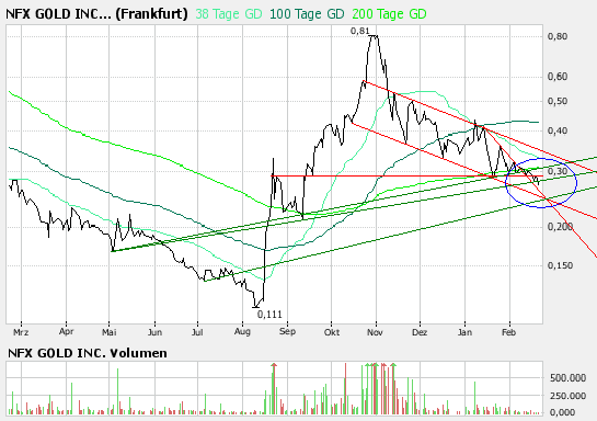 NFX Gold Inc. 149277