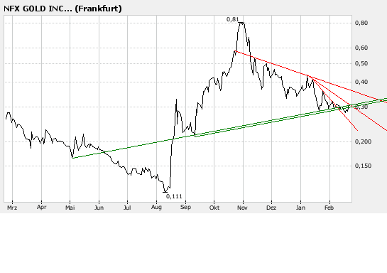 NFX Gold Inc. 149568