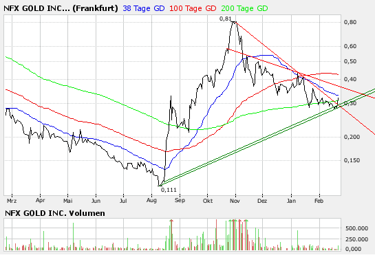 NFX Gold Inc. 149652