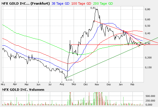 NFX Gold Inc. 150773