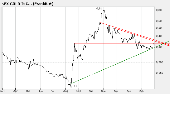 NFX Gold Inc. 151263