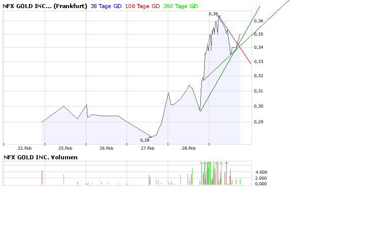 NFX Gold Inc. 151460