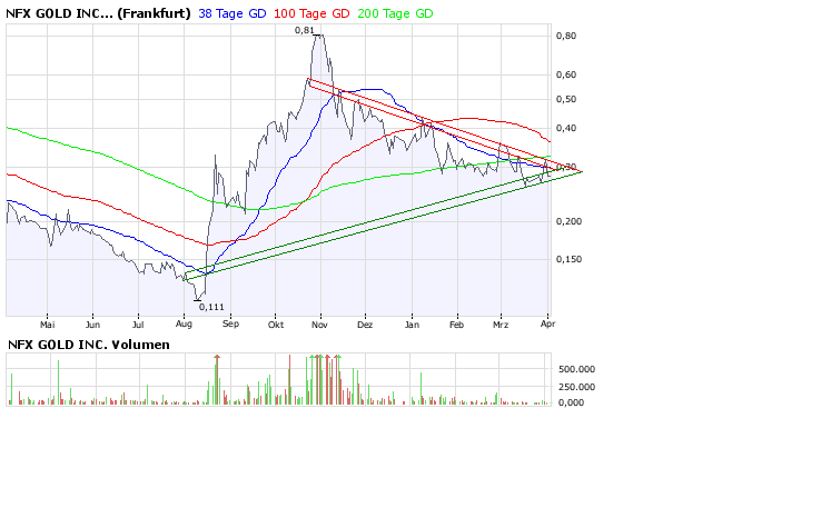NFX Gold Inc. 157481