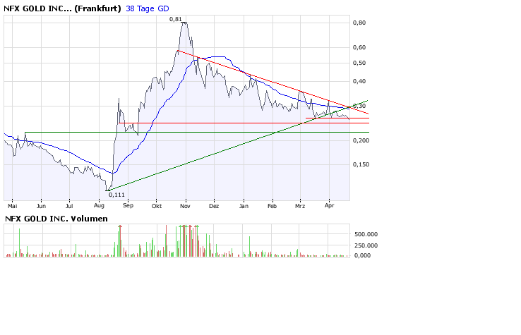 NFX Gold Inc. 160482