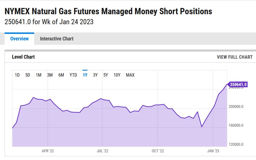 Warum fällt ERDGAS so EXTREM ? 1355166